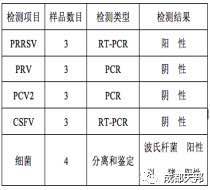 微信图片_20170811164848.jpg