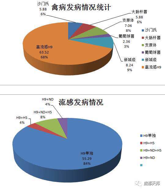 微信图片_20171013222716.jpg