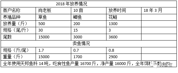 鱼料 (1).png