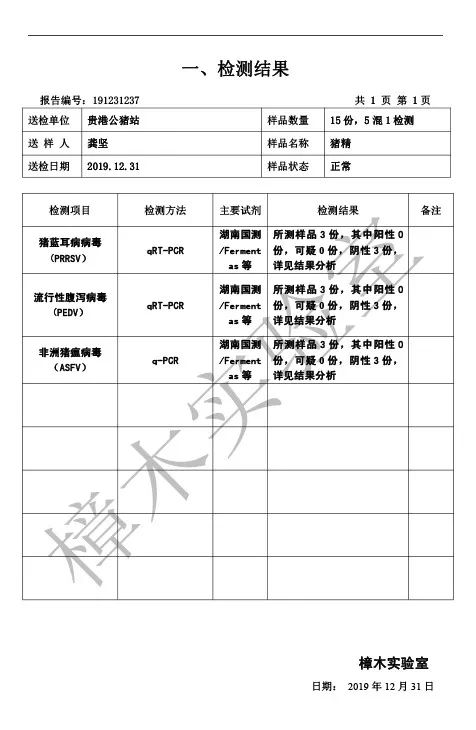 12月猪精 (1).jpg